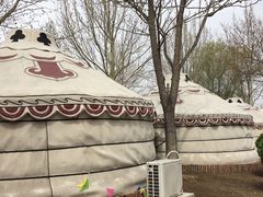 -九十九顶毡房(阜石路店)