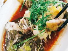 -顺德新鲜猪杂粥(第九分店)