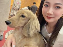 -和它·交个朋友·狗咖猫咖(爱琴海店)