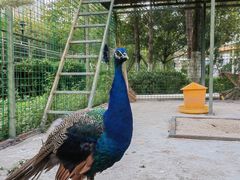 -梧桐人家中国太平国际健康颐养社区