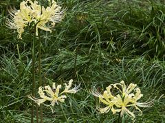 -白塘生态植物园