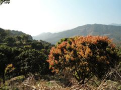 -广州市石门国家森林公园