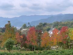 -塔川景区