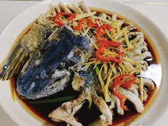 -煲来饱去冷水鱼