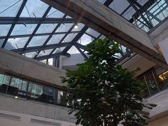 -大树餐厅(红旗街万达店)