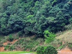 -江西阳明山国家森林公园