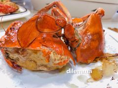 -鑫悦楼煎蟹·16年海鲜大排档