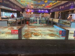 水产区-尚海豆捞(乐虹坊店)