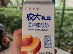 -广西大学(大学东路校区)