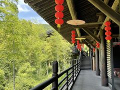 -大唐贡茶院
