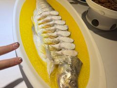 -食悦江南·淮扬菜·烤鸭(亚运村·惠新店)
