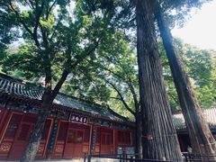 -潭柘寺景区