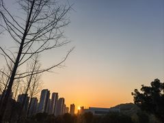 -牛岗山公园