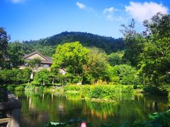 -杭州雅谷泉山庄酒店-餐厅