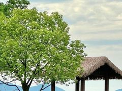 -良渚古城遗址公园