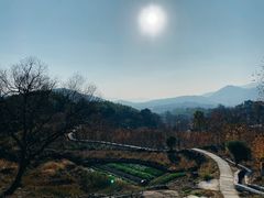 -塔川景区