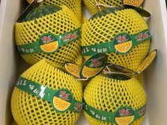 -上海龙吴水胜海发市场