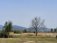 -良渚古城遗址公园