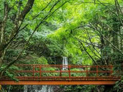 -三千院