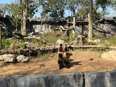 -武汉动物园