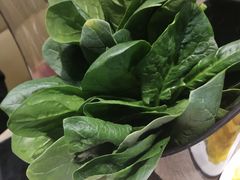 -新辣道鱼火锅(摩尔城店)