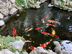 -鲤院·新中式美学·庭院餐厅(夫子庙店)