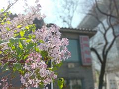 -三味书屋(复兴门内大街店)