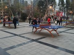 -嘎嘎鸭脑壳(金沙店)