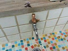 android_upload_pic-三鹰之森吉卜力美术馆