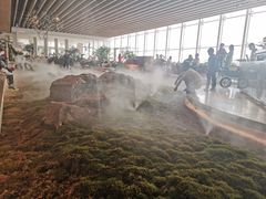 -Seesaw Coffee(朝阳大悦城店)