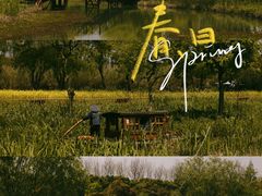 -沙家浜风景区