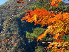 景点-五女峰国家森林公园