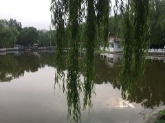-丰台花园