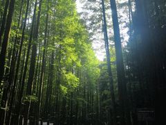 -山王坪喀斯特国家生态公园