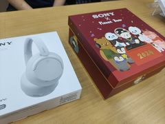 -Sony Store 索尼(来福士店)