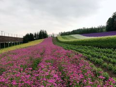 -富田农场