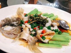 鲜花椒蒸鱼-猪肉婆私房菜(容桂总店)