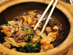 -稻香酒家·33年老字号·港式粤菜(富邦中心店)