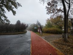 -大兴滨河森林公园