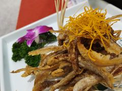 -赵小姐丨新中餐(曲江店)