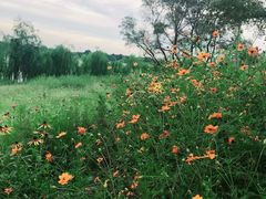 -长白岛森林公园