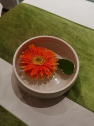 -梵隐SPA