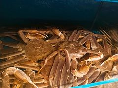 -蟹田居·活蟹料理(东城店)