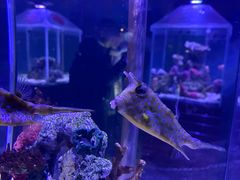 -太平洋海底世界