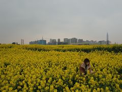 -白鹭湾湿地公园