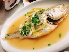 黄鱼-临风海鲜餐厅