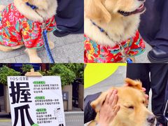 -龙湖成都上城天街