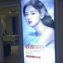 点击看大图 -石家庄苏亚美联臣医疗美容医院