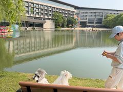 -上海佘山世茂艾美酒店