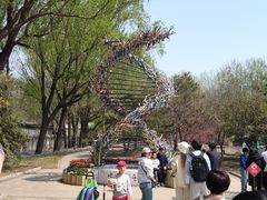 -北京麋鹿生态实验中心
